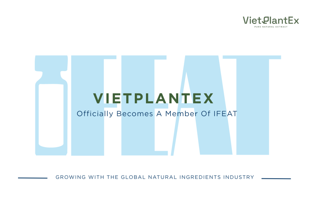 Vietplantex officially becomes a member of Ifeat